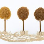 New product line of...