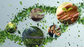 CDP again recognizes BASF