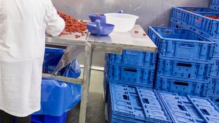 Fiordelisi increases logi