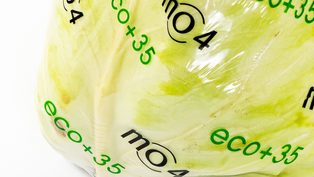 Sustainable food packagin