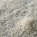 Xenia introduces Xelamid...