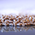 Evonik launches a...