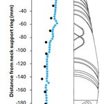 BMT improves prediction...