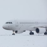 COAT-Ips develops a...