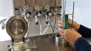 SKZ accelerates permeabil