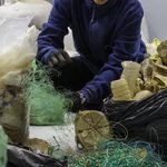 Oceanzyme investigates...