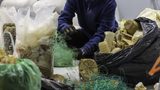 Oceanzyme investigates enzymatic recycling of marine waste
