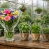 Südpack PLA film for packaging herbs and flowers