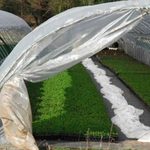 Biobased & biodegradable...