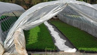 Biobased & biodegradable 