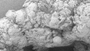New GUR X 192 macropowder