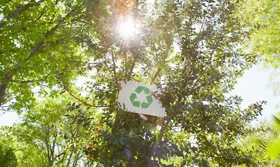 Great Britain increases recycling goals
