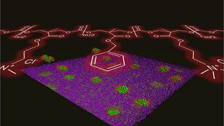 First biodegradable antim