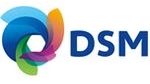 DSM Engineering Plastics 