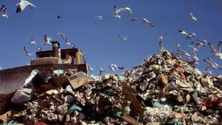 Packaging waste declining