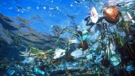 Global plastics industry 