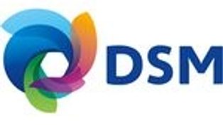 DSM Engineering Plastics 