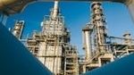 Sumitomo Chemical holds g