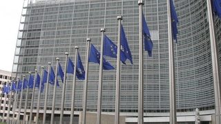 European Commission consu
