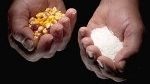 RTP Company Expands Biopl