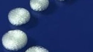 Researchers develop world