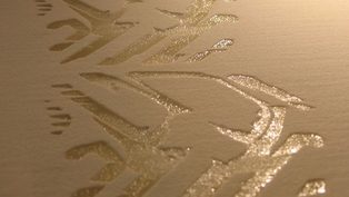 New thermoplastic polyure