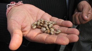 U.S. Department of Agricu