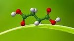 Reverdia shows 100% bio-b