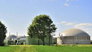 EU develops renewable bio