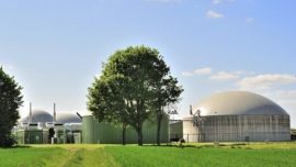 EU develops renewable bio
