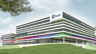 DSM opens international r
