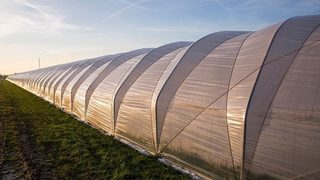 Clariant offers polymer a